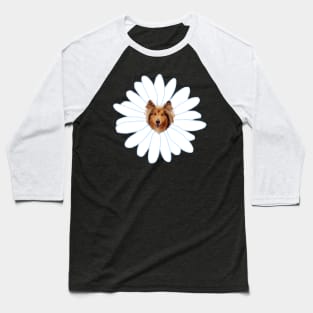 Collie Flower Daisy Dog Baseball T-Shirt